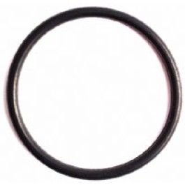 Fuel Delivery Pump 'O' Ring, (2 Hole) - 974508