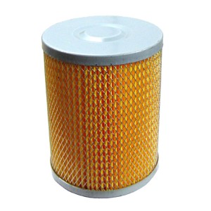 Fuel Filter (2nd Stage)